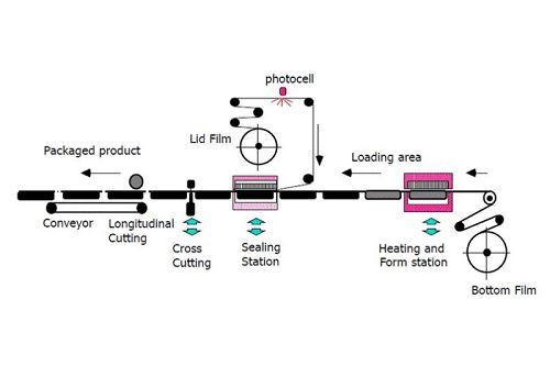 Vai jūs zināt vakuuma termoformēšanas plēves iepakošanas darba procesu?